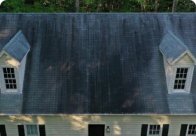 Image of Roof Cleaning